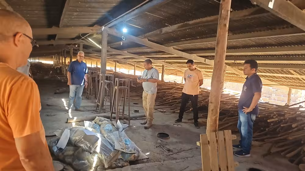 Polícia Civil do Maranhão destrói 200kg de drogas em Chapadinha, resultado de operações contra o tráfico em Santa Quitéria