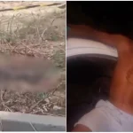 Hydhino Davy Gomes Lima, menino de 11 anos, é encontrado esquartejado em área de fábrica de ração em Teresina, dois adolescentes apreendidos e confessam crime