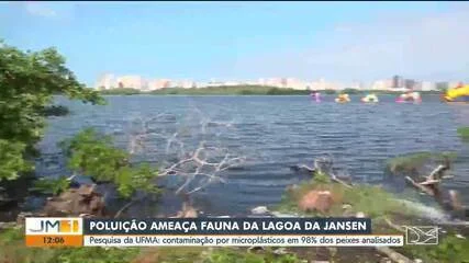 Alerta na Lagoa da Jansen: Peixes contaminados com microplásticos revelam crise ambiental em São Luís